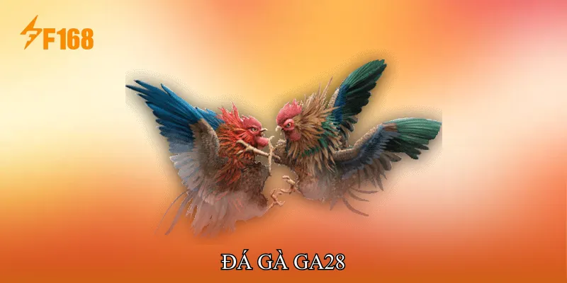 Đá Gà GA28 Nền Tảng Uy Tín Tăng Cơ Hội Thắng Trong Mỗi Trận