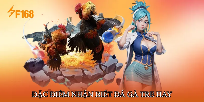 Đặc điểm nhận biết đá gà tre hay