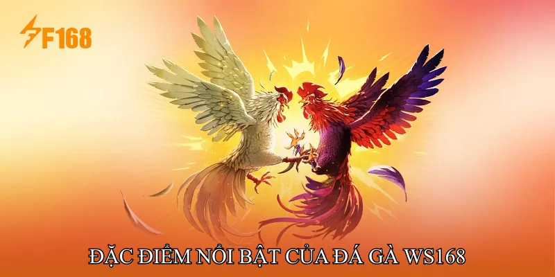 Đặc điểm nổi bật của Đá gà WS168 Đặc điểm nổi bật của Đá gà WS168