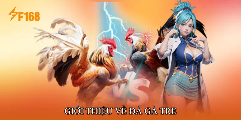 Giới thiệu về Đá gà tre