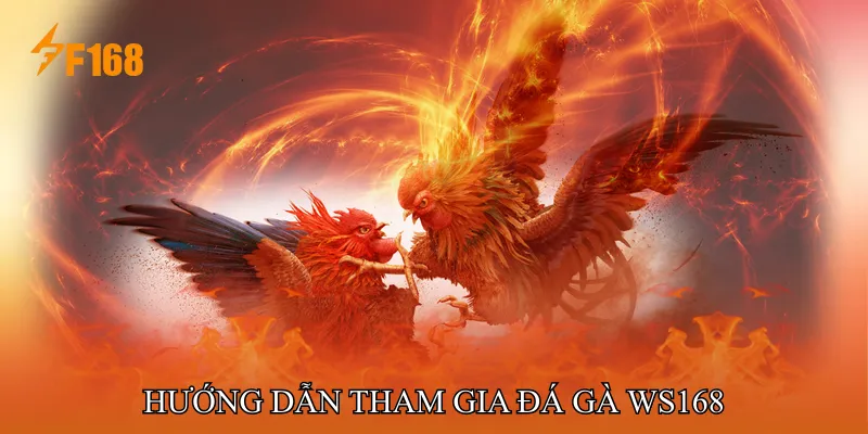 Hướng dẫn tham gia Đá gà WS168 Hướng dẫn tham gia Đá gà WS168